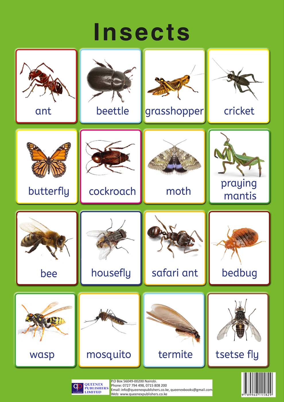 Queenex Insect Chart