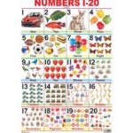 Number Chart 1-20 Laminated DL by Dreamland