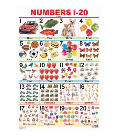 Number Chart 1-20 Laminated DL by Dreamland