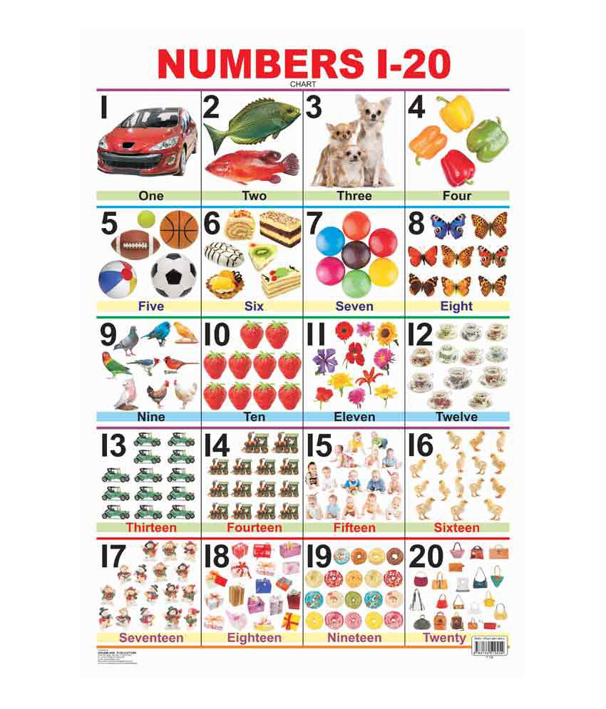 Number Chart 1-20 Laminated DL by Dreamland