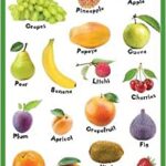 DL Charts Fruits Laminated
