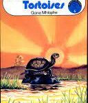 Queen of the Tortoises                                by Mhlophe