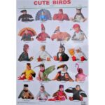 DL Cute Alphabet Birds