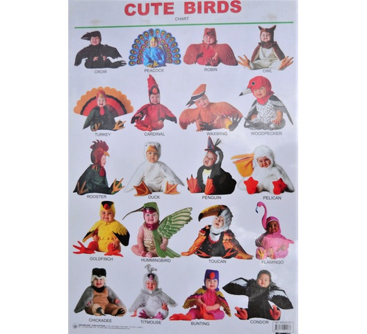 DL Cute Alphabet Birds