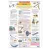 Educational charts Sound (Sangyug)