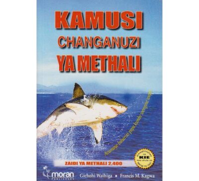 Kamusi Changanuzi ya Methali by Gichohi Waihiga,francis