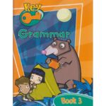 Key Grammar Book 3 by Hoare, Robert John