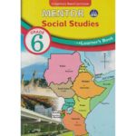 Mentor Social Studies Learners Grade 6