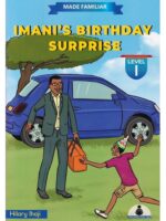 Made Familiar: Imani's Birthday Surprise Level 1