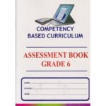 Bluespark CBC Assessment Book Grade 6