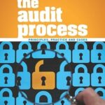 THE AUDIT PROCESS
