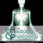 The Anatomy & Physiology Workbook: For Beauty and Holistic Therapies