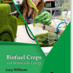 Biofuel Crops And Renewable Energy