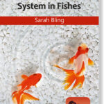 Reproductive System In Fishes